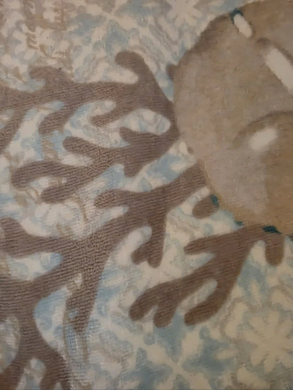 Coastal 2 piece Bath Towels Set Turtles Sealife NEW